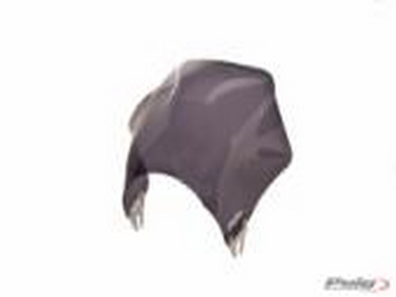 PLEXI ŠTÍT MODEL RAPTOR SUZUKI BANDIT GSF650 05-08/1200-06/GSF1250 08-10 -