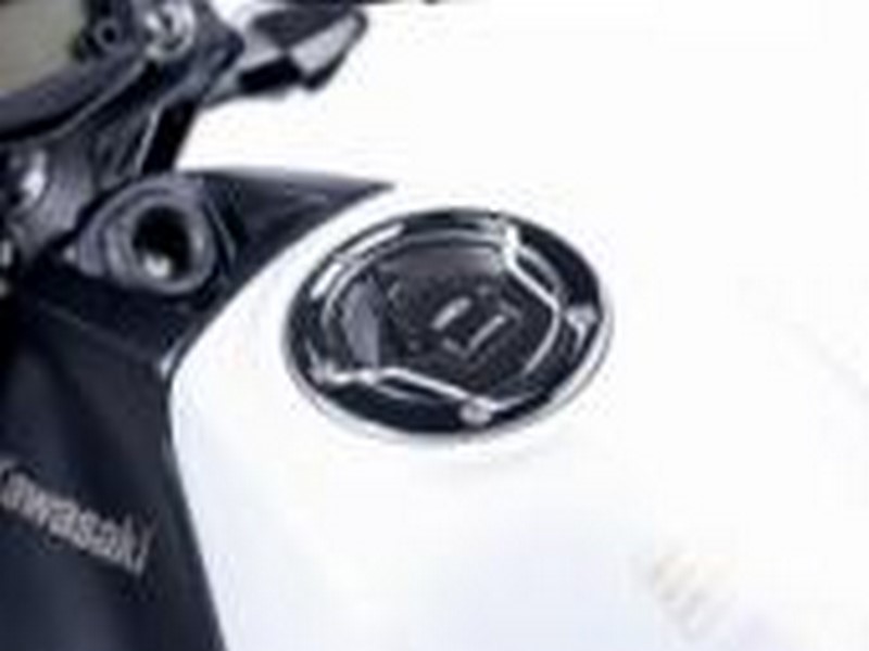 PRYSKYŘICOVÝ DEKOR/POLEP VÍČKA NÁDRŽE MODEL "NAKED" KAWASAKI