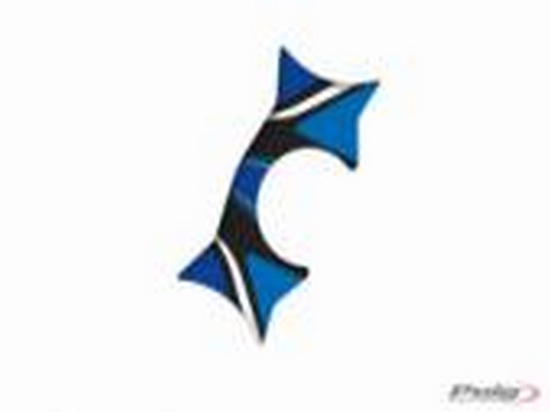 PRYSKYŘICOVÝ DEKOR/POLEP BRÝLÍ MODEL "RADIKAL"  KAWASAKI