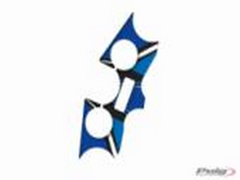 PRYSKYŘICOVÝ DEKOR/POLEP BRÝLÍ MODEL "RADIKAL"  KTM