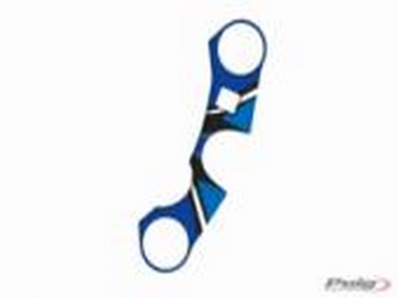 PRYSKYŘICOVÝ DEKOR/POLEP BRÝLÍ MODEL "RADIKAL"  SUZUKI