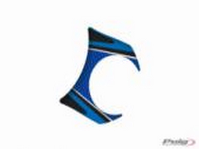 PRYSKYŘICOVÝ DEKOR/POLEP BRÝLÍ MODEL "RADIKAL"  SUZUKI