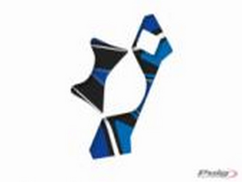 PRYSKYŘICOVÝ DEKOR/POLEP BRÝLÍ MODEL "RADIKAL"  SUZUKI