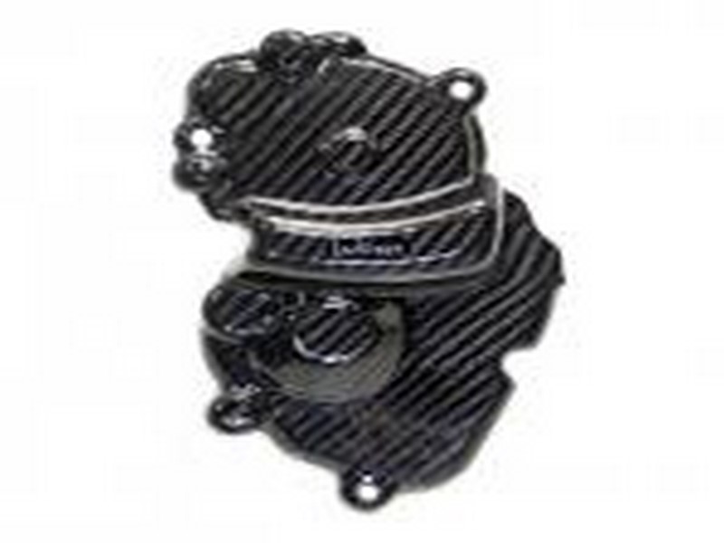 LEO VINCE "CARBON" KRYT PICK UP KAWASAKI