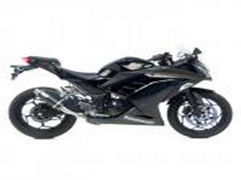 LEO VINCE "GP CORSA" CARBON - KAWASAKI NINJA 300 R i.e. 2013