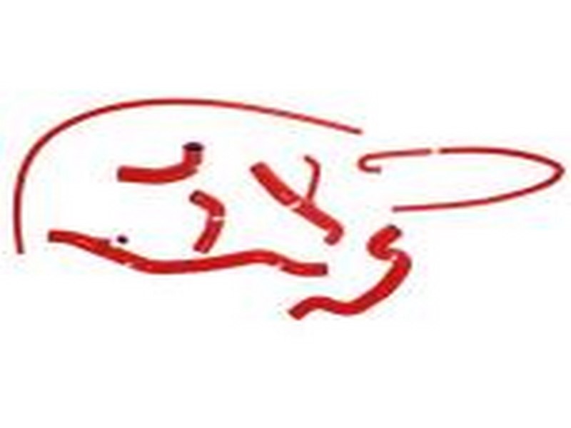 Sada silikonových hadic SAMCO - Ducati  1098 Race Thermo Bypass Kit   