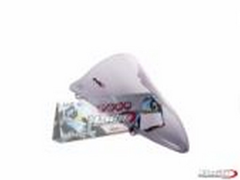 PLEXI RACING KAWASAKI NINJA 250R 08