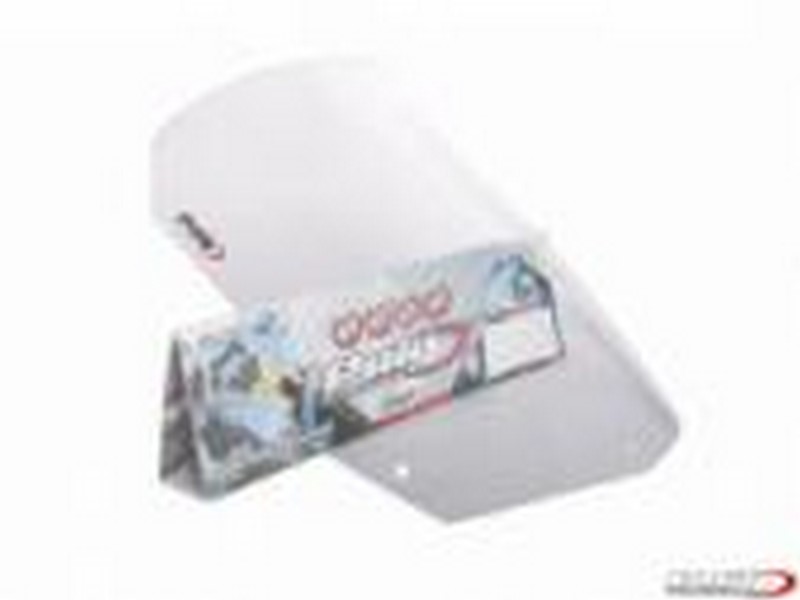 PLEXI RACING BMW F800S 07