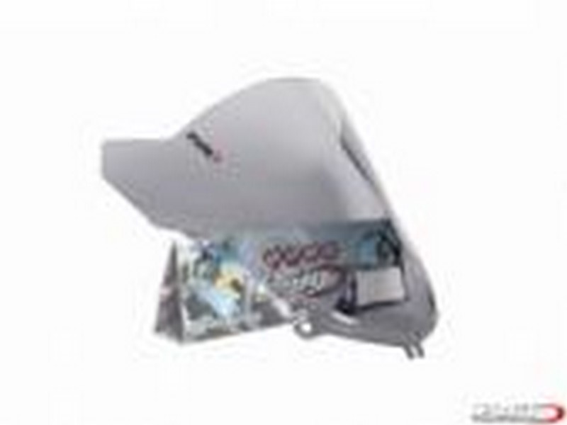 PLEXI RACING BMW K1200R SPORT 07